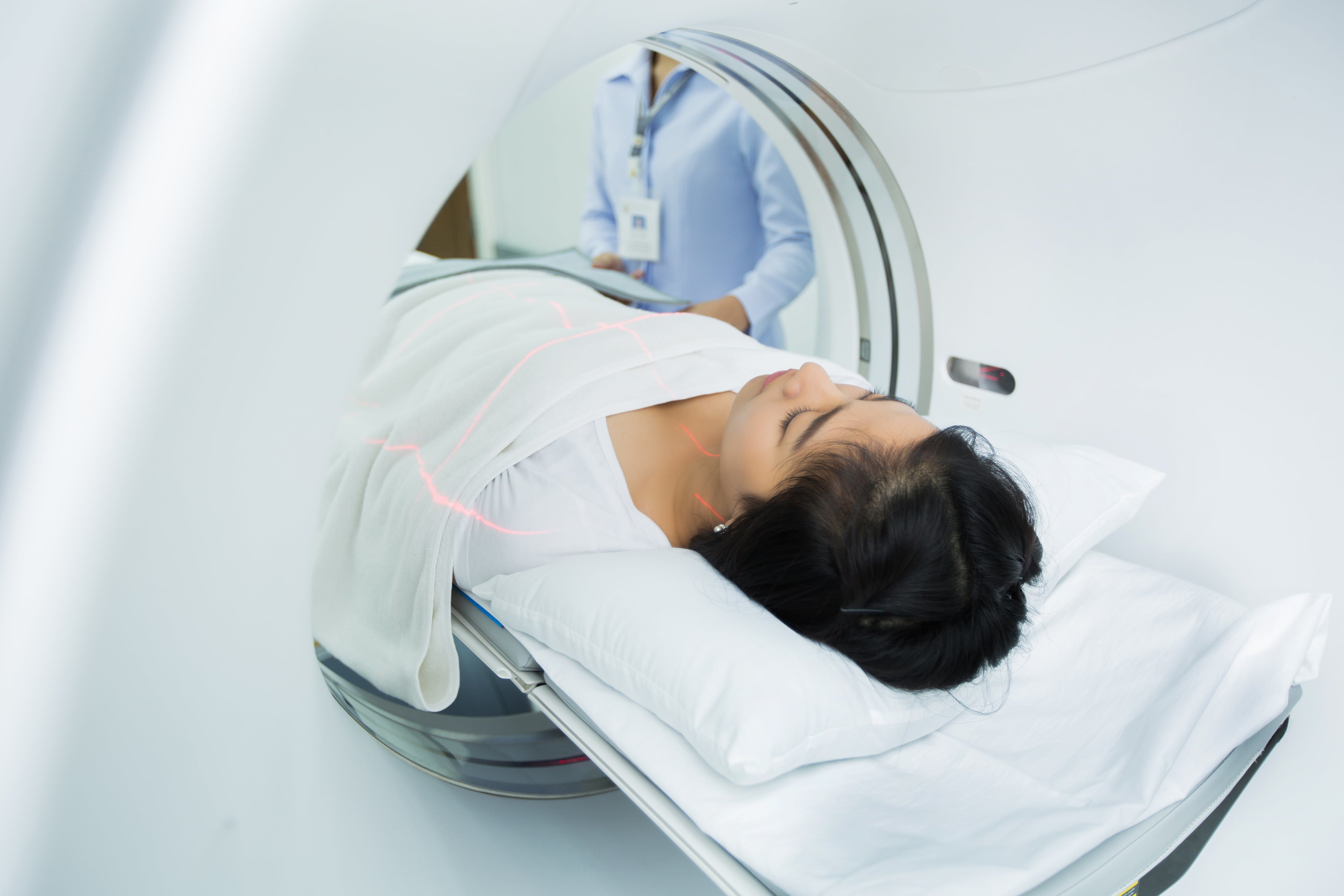 How Much Does A Dog Ct Scan Cost