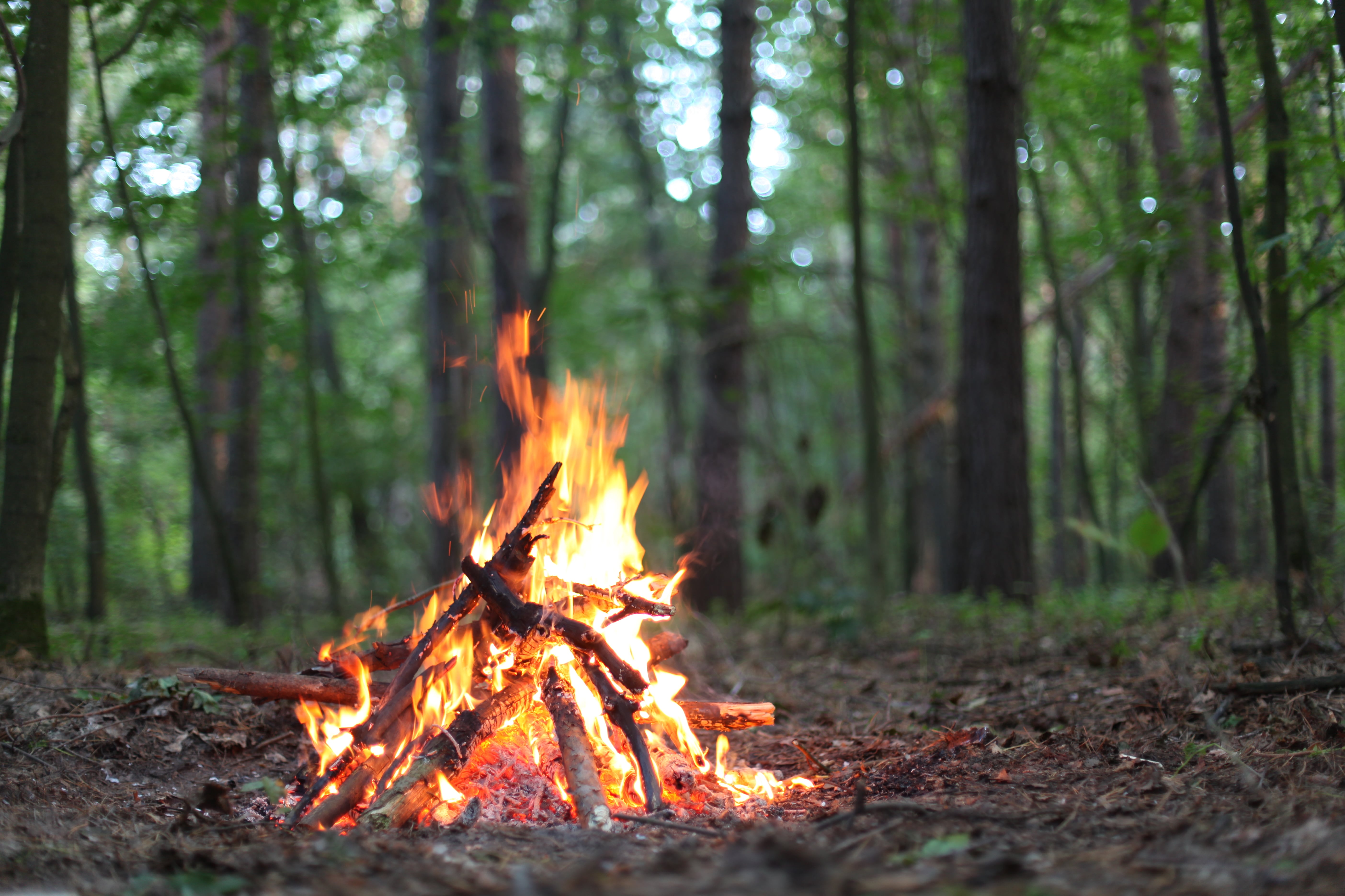 pocket camp campfire